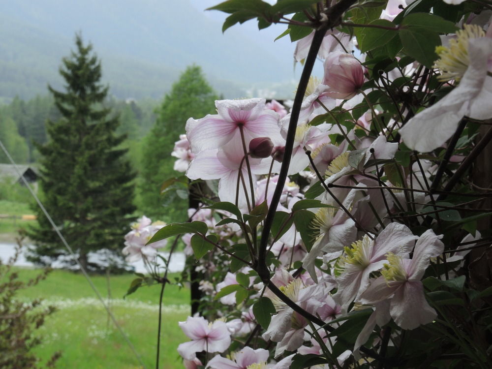 B&B Pranzaira Vicosoprano Екстериор снимка